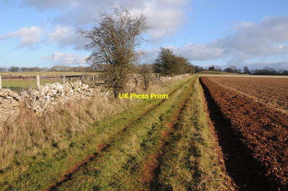 Photo 6"x4" The Cotswold Way Charlton Abbots c2011