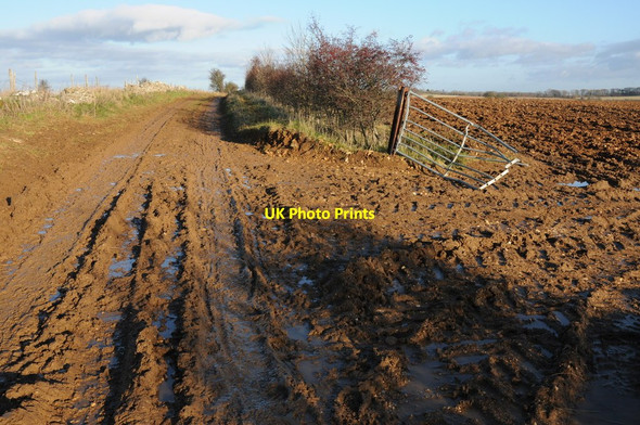Photo 6"x4" Muddy track near Wontley Farm Cleeve Hill\/SO9826 c2011
