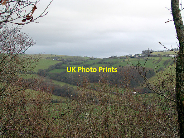 Photo 6"x4" Pisgah viewed from the top of Pant Da Wood Pisgah\/SN6777 c2011