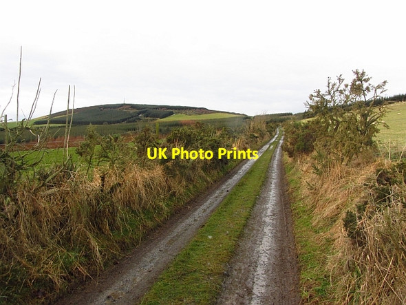 Photo 6"x4" Road on Foudland Hill Colpy c2011