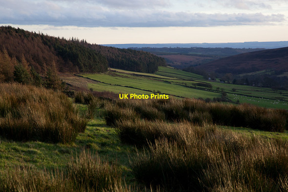 Photo 6"x4" Looking down Rosedale from Heygate Bank Rosedale Abbey c2011