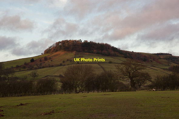 Photo 6"x4" Fields near Bell End Farm and Bell Top Rosedale Abbey c2011