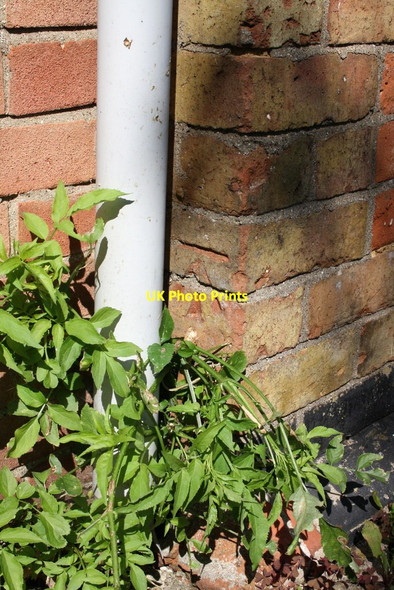 Photo 6"x4" Benchmark on #26 Eynsham Road Botley\/SP4805 c2011