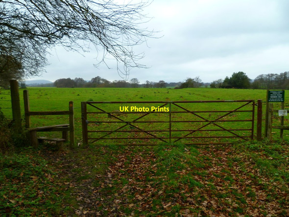 Photo 6"x4" Footpath into field by Durford Mill Durleighmarsh c2011