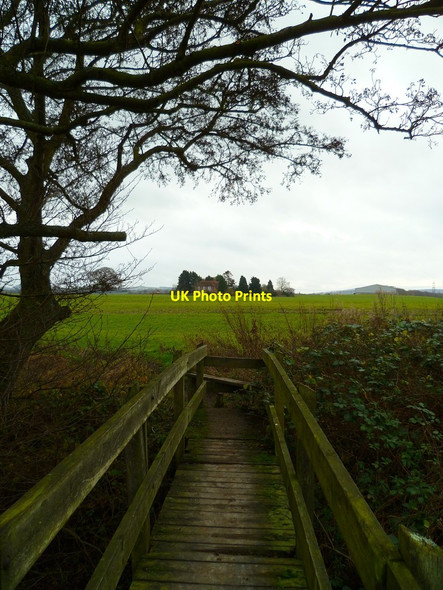 Photo 6"x4" Footbridge over the River Rother Goose Green\/SU7721 c2011