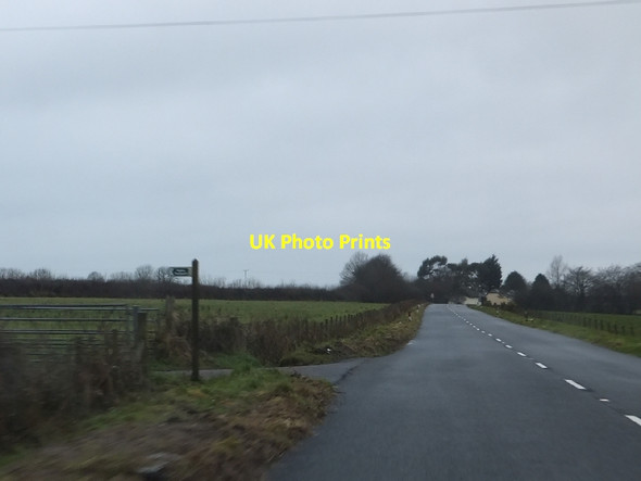 Photo 6"x4" Footpath to Cudworthy on Beaford Moor Beaford c2011