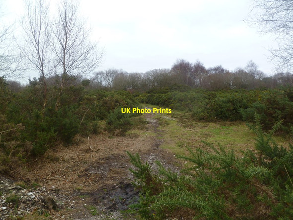 Photo 6"x4" Upper Pennington Common Bowling Green\/SZ2996 c2011