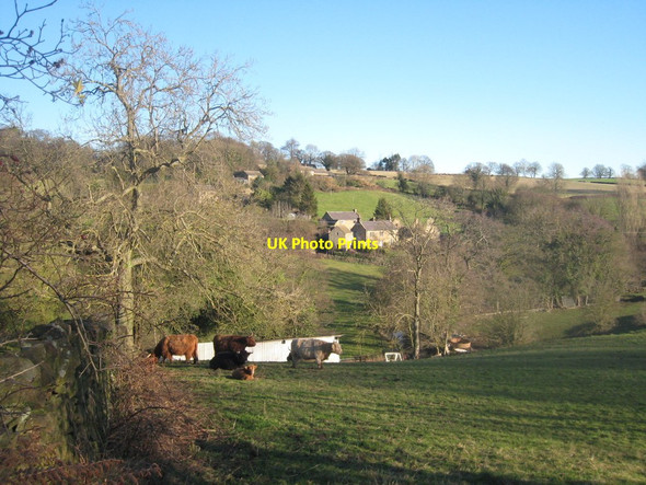 Photo 6"x4" Dwellings and ruins at Dalebank, viewed from Brown Lane Ashover Hay c2011