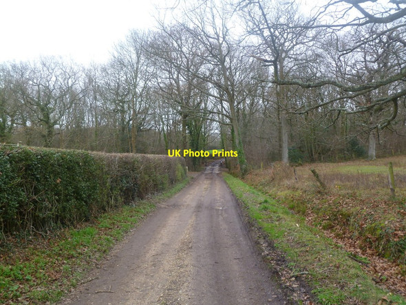 Photo 6"x4" Broadmead, bridleway Bowling Green\/SZ2996 c2011