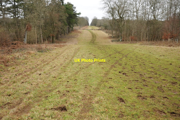 Photo 6"x4" Overley Ride, Cirencester Park Daneway c2011