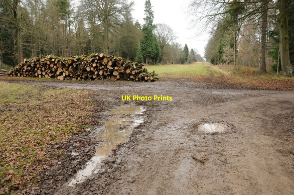 Photo 6"x4" Wood stacked up on Overley Ride Daneway c2011