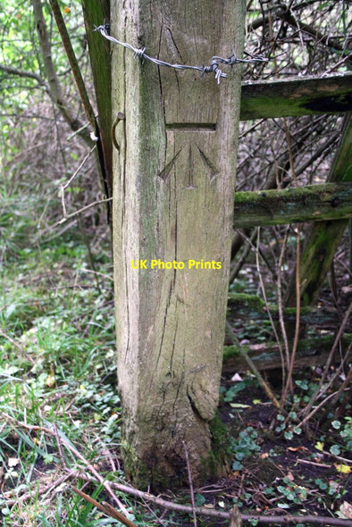 Photo 6"x4" Benchmark on wooden gatepost East Hanney c2011
