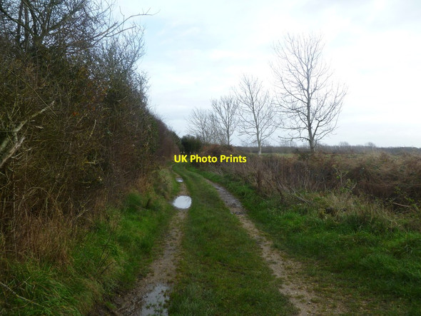 Photo 6"x4" Lymore, farm track and path Everton\/SZ2994 c2011