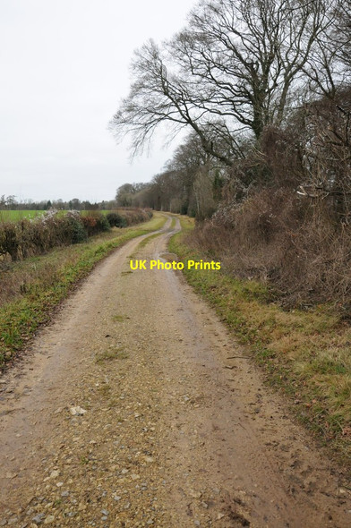 Photo 6"x4" Track in Cirencester Park Lower End\/SO9904 c2011 P1