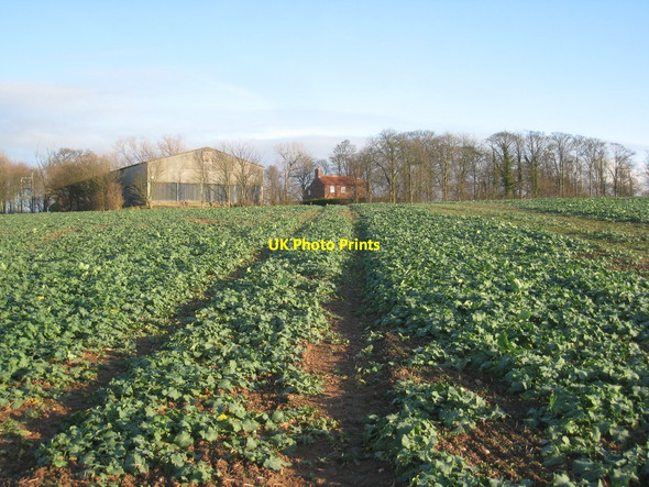 Photo 6"x4" Topley Farm Gringley on the Hill c2011