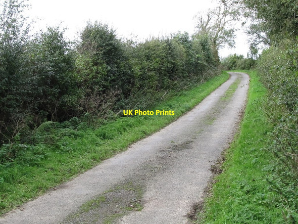 Photo 6"x4" Bend in the Quarter Road Bishops Court\/J5642 c2011