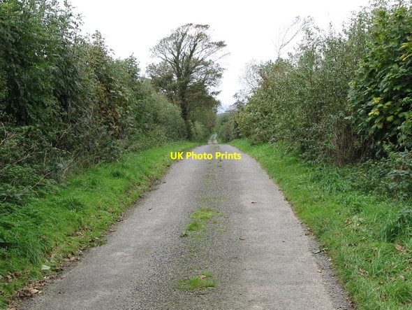 Photo 6"x4" View westwards along the Quarter Road Bishops Court\/J5642 c2011