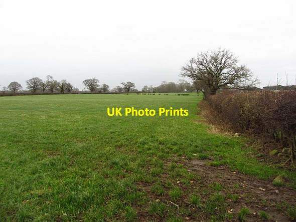 Photo 6"x4" Grass fields near Dalston Buckabank c2011
