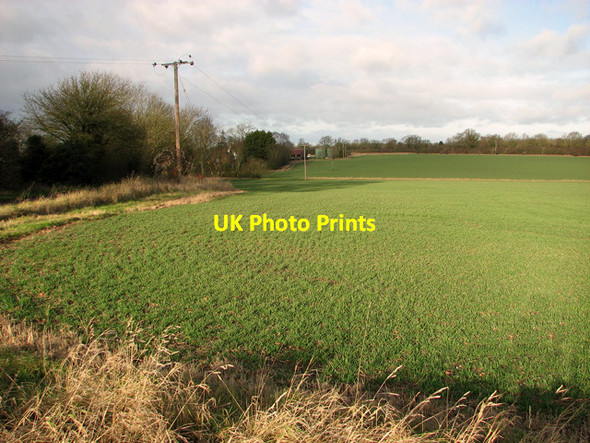 Photo 6"x4" View towards Grove Farm, Capel St Mary Little Wenham c2011