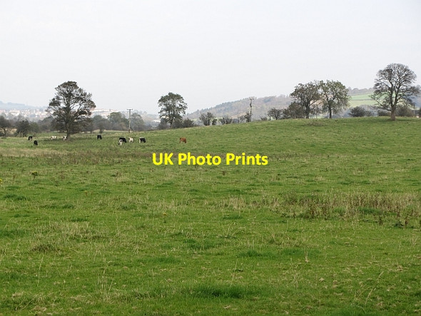 Photo 6"x4" Grazing land beside the Kelvin Kirkintilloch c2011