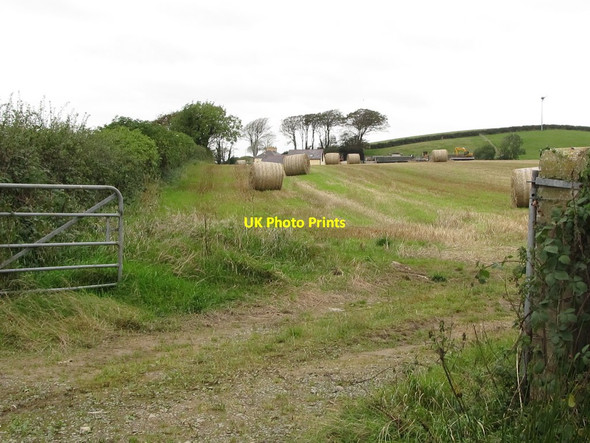 Photo 6"x4" Straw bales in the field at the junction of Grange Road and Ballyclander Road Killough c2011