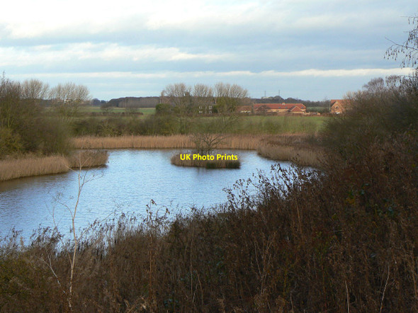 Photo 6"x4" Pond on Barlow Common Barlow\/SE6428 c2011