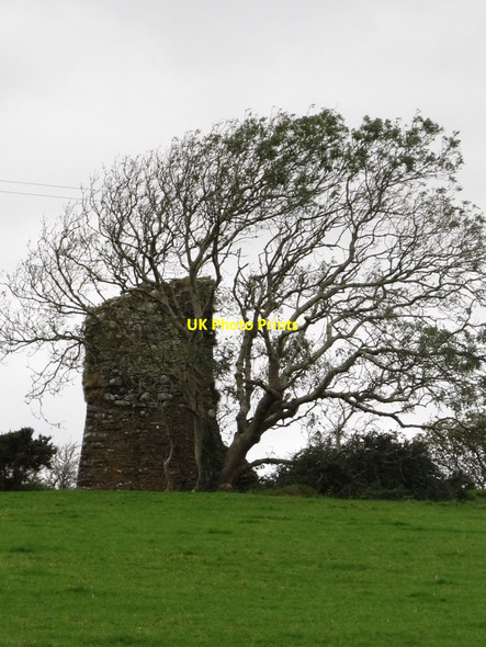 Photo 6"x4" The ruins of Castle Skreen Downpatrick c2011