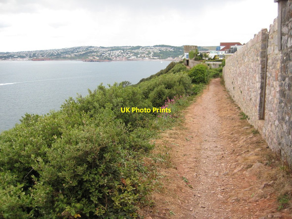 Photo 6"x4" Coast path above Daddyhole Cove Ellacombe c2011