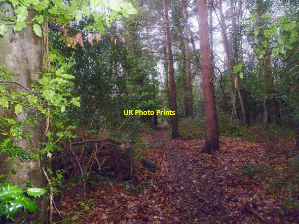 Photo 6"x4" Pennington, footpath Lymington c2012