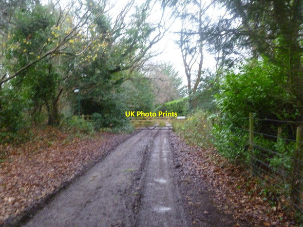 Photo 6"x4" Pennington, private road Lymington c2012