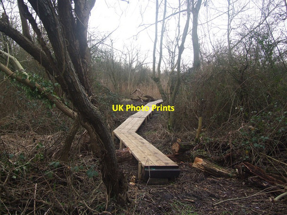 Photo 6"x4" Raised Walkways. March\/TL4196 c2012