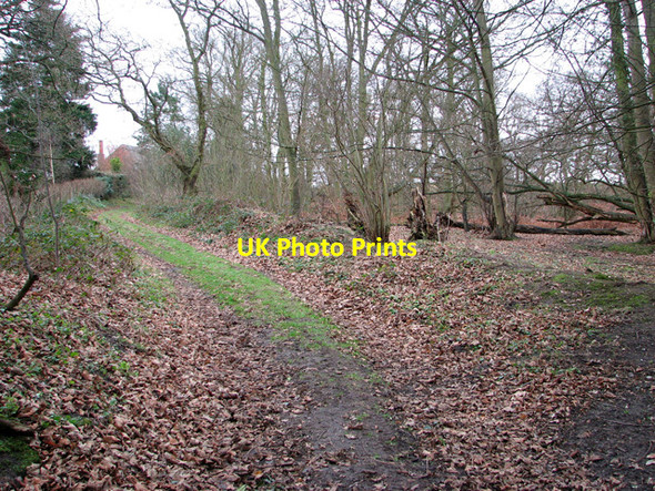 Photo 6"x4" Footpath to Sandpits Lane, Holton St Mary Holton St Mary c2012