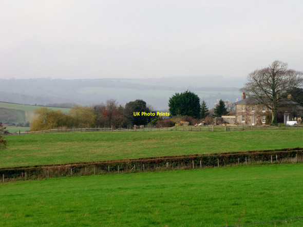 Photo 6"x4" Pasture beside Peppering Farm, Burpham Arundel c2011