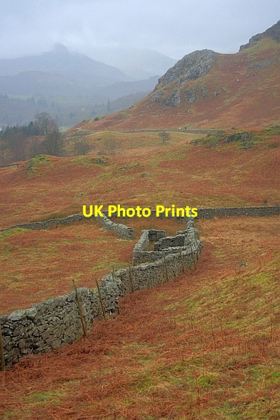 Photo 6"x4" Sheepfold on Loughrigg Fell Ambleside c2011