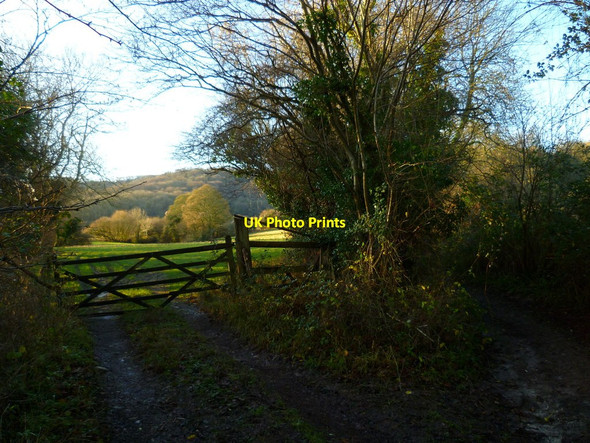 Photo 6"x4" Looking to the South Downs from bridleway off Glatting Lane Bignor c2012
