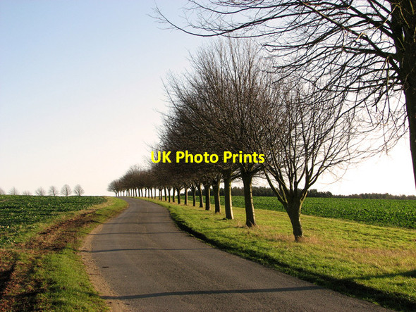 Photo 6"x4" Country lane past Raynham Hall East Raynham c2012