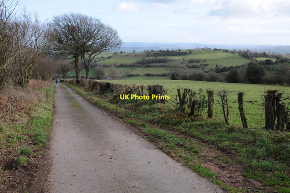 Photo 6"x4" Road on Garway Hill Garway Hill c2012