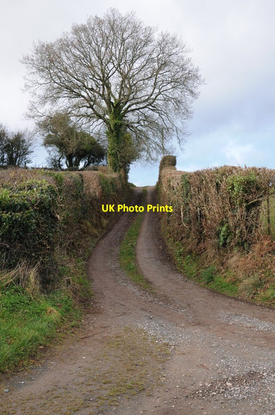 Photo 6"x4" Lane on Garway Hill Bagwyllydiart c2012