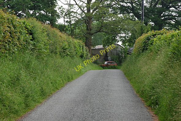 Photo 6"x4" Road east of Pen-y-coed-uchaf farm Betws Bledrws c2008