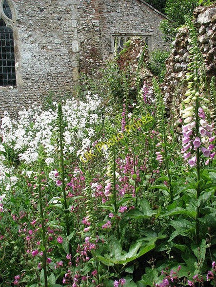 Photo 6"x4" St Andrew's church - the ruined chancel Thurning\/TG0829 c2008