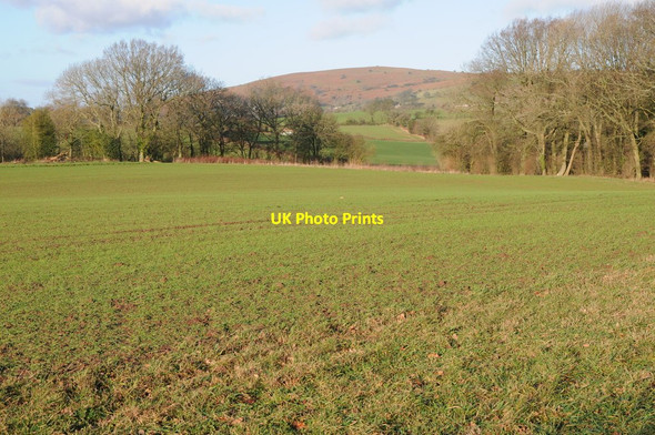 Photo 6"x4" View to Garway Hill Garway c2012
