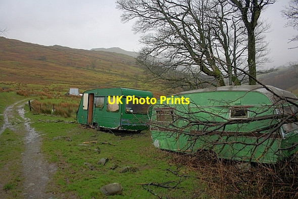 Photo 6"x4" High Grove High Green\/NY4103 c2011 P1