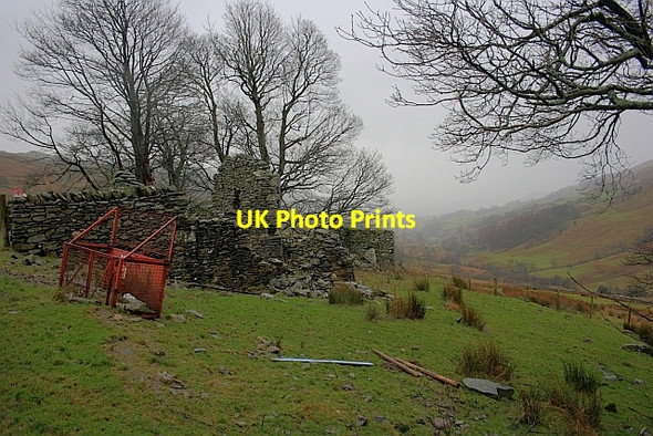 Photo 6"x4" High Grove High Green\/NY4103 c2011 P2