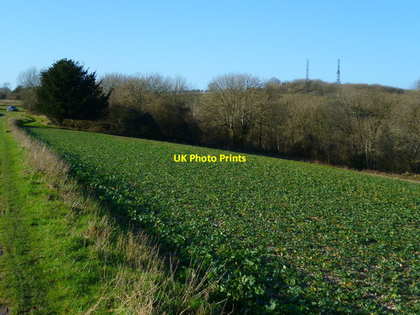 Photo 6"x4" View west from the South Downs Way on Bignor Hill Bignor c2012