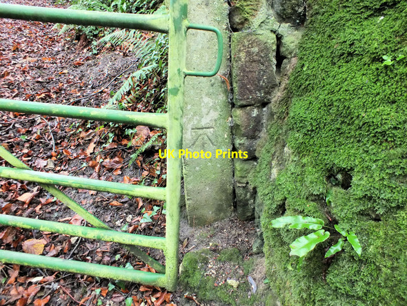 Photo 6"x4" Benchmark on the gatepost Long Bredy c2012