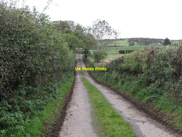 Photo 6"x4" View south along the Ballyclander Road Killough c2011