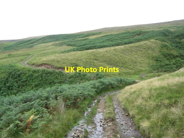 Photo 6"x4" Track leading to Croglin Croglin c2011