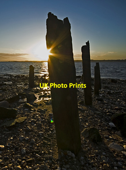 Photo 6"x4" North Ferriby foreshore posts North Ferriby c2012