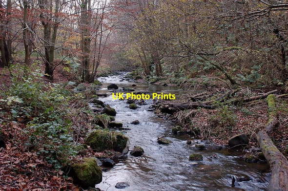 Photo 6"x4" The Gore Water, Gore Glen Arniston\/NT3461 c2011