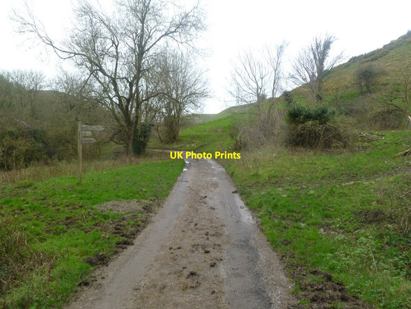 Photo 6"x4" Hill Bottom, bridleway junction Worth Matravers c2012